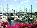 Boats0053.JPG