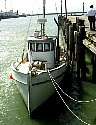 Boats0296.JPG