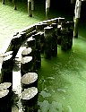 Cannal0009.JPG